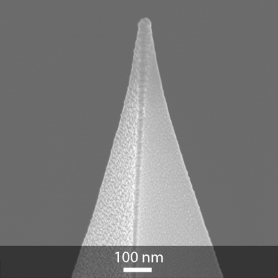 SEM image of OPUS gold Au Coated AFM tip